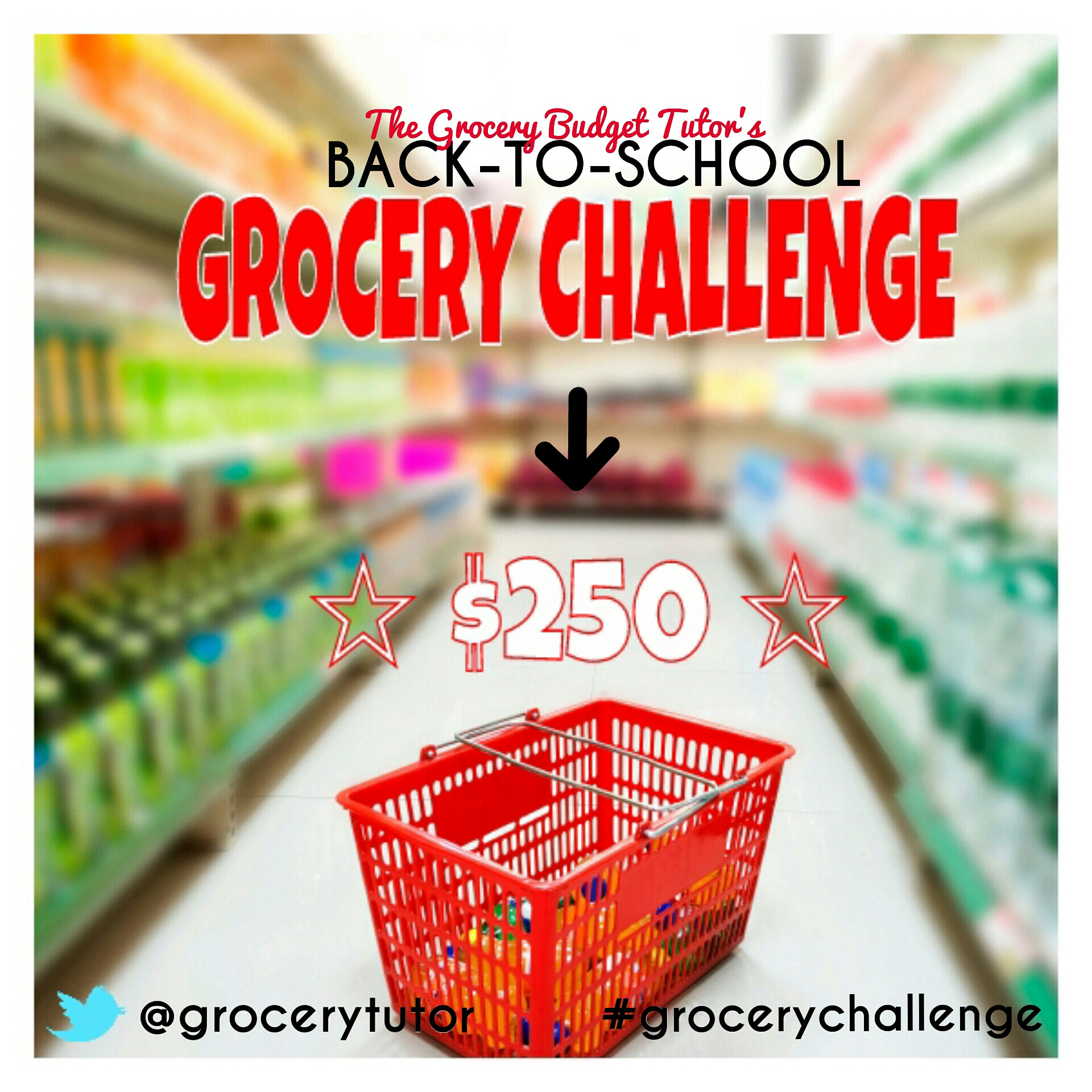 grocery challenge with the Grocery Budget Tutor Amiyrah Martin